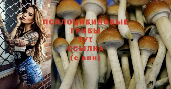 кокаин премиум Кинешма