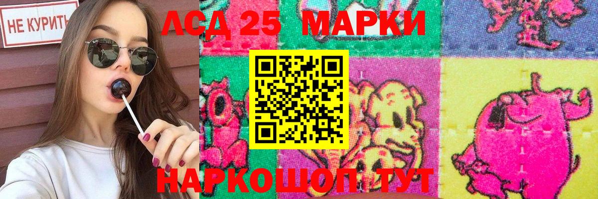 Лсд 25 экстази ecstasy  LSD-25 экстази ecstasy  Вход с VPN  Ессентуки 
