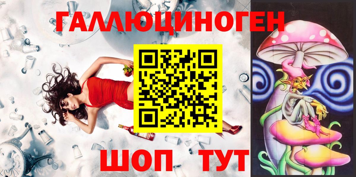 Галлюциногенные грибы Psilocybe Ессентуки