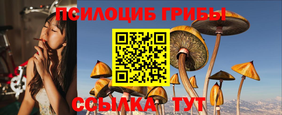 Ессентуки  Псилоцибиновые грибы MAGIC MUSHROOMS  Вход с VPN 